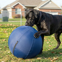 Indestructible Herding Ball